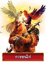 Trang chủ Cockfight